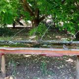 photo 2021-05-26 15-54-28