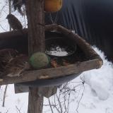 photo 2019-01-27 11-36-17