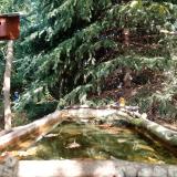 photo 2023-10-11 12-19-27