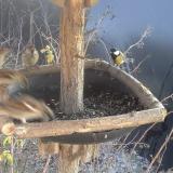 photo 2019-12-30 13-09-06