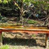 photo 2021-04-21 09-58-22