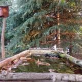 photo 2023-10-06 07-19-50