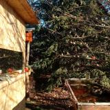 photo 2021-12-31 09-56-04