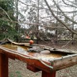 photo 2022-03-16 11-48-20