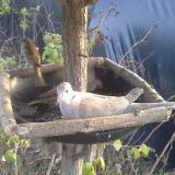 photo 2019-12-16 14-22-09