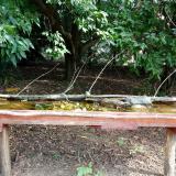 photo 2021-08-13 09-33-36