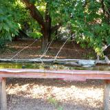 photo 2021-08-07 18-44-43