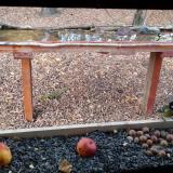 photo 2021-11-03 15-32-57