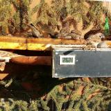 photo 2021-02-22 13-48-06