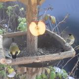 photo 2019-12-03 11-37-58