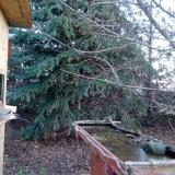 photo 2021-12-13 08-11-12