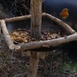 photo 2019-01-04 11-33-27