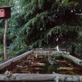 photo 2023-10-09 18-06-59