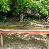 photo 2021-05-06 11-00-46