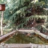 photo 2023-10-11 15-45-22