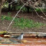 photo 2021-04-13 08-21-45 poszata