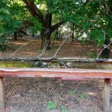 photo 2021-07-12 18-23-41