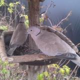 photo 2019-12-16 08-07-40