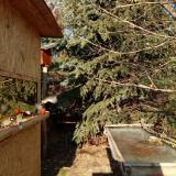 photo 2022-01-12 13-20-57