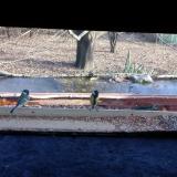 photo 2021-12-04 13-45-59