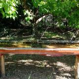 photo 2021-05-09 08-59-18