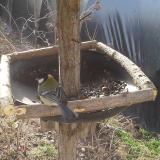 photo 2019-03-13 08-39-19