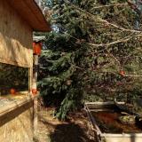 photo 2022-01-01 11-55-55