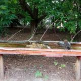 photo 2021-07-23 16-58-54