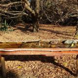 photo 2021-10-31 09-23-04