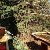 photo 2021-11-12 13-13-51