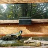 photo 2023-10-24 10-41-07