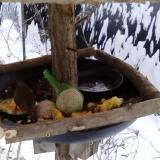 photo 2019-01-22 09-16-57