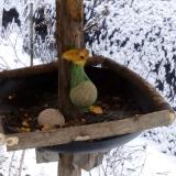 photo 2019-01-20 09-52-33