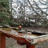 photo 2022-03-08 11-11-45