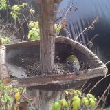 photo 2019-12-14 11-40-49