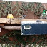 photo 2021-02-06 10-09-21