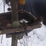 photo 2019-01-27 11-33-42