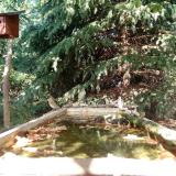 photo 2023-10-04 14-00-59