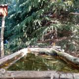 photo 2023-10-12 10-46-36