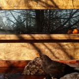 photo 2022-01-24 09-35-41