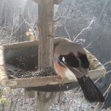 photo 2019-12-30 07-39-24