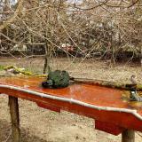 photo 2021-03-23 10-43-39