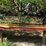 photo 2021-04-24 15-19-17