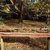 photo 2021-10-21 09-55-08