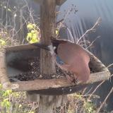 photo 2019-12-22 12-07-03