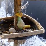 photo 2019-01-21 08-50-07