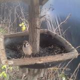 photo 2019-12-26 12-13-40