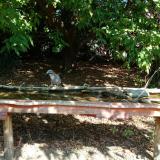 photo 2021-09-26 11-35-05