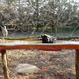 photo 2021-03-11 07-59-55