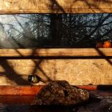 photo 2022-01-24 08-59-54